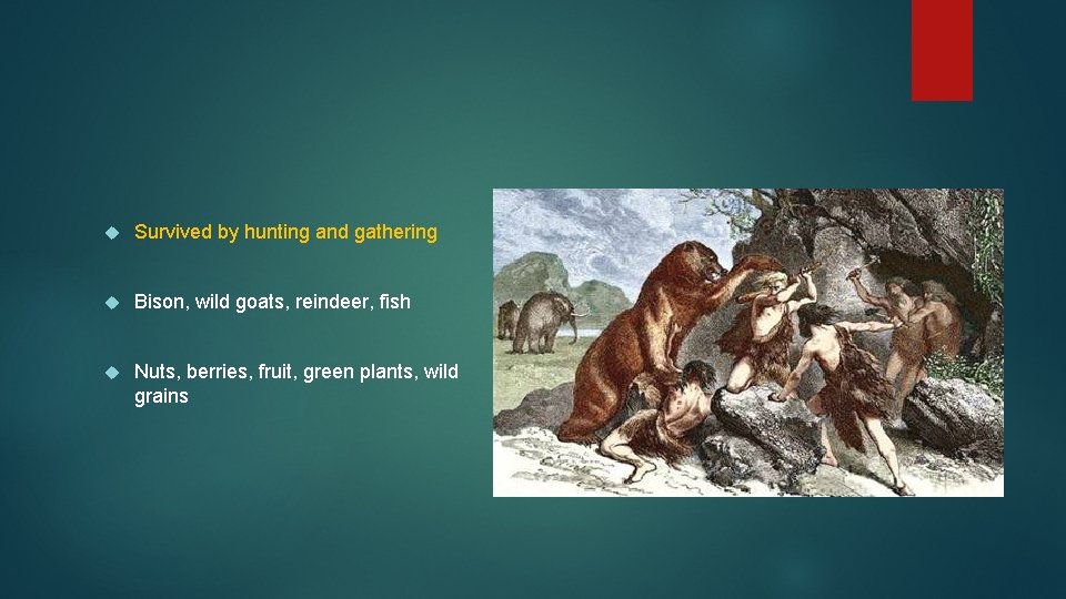  Survived by hunting and gathering Bison, wild goats, reindeer, fish Nuts, berries, fruit,