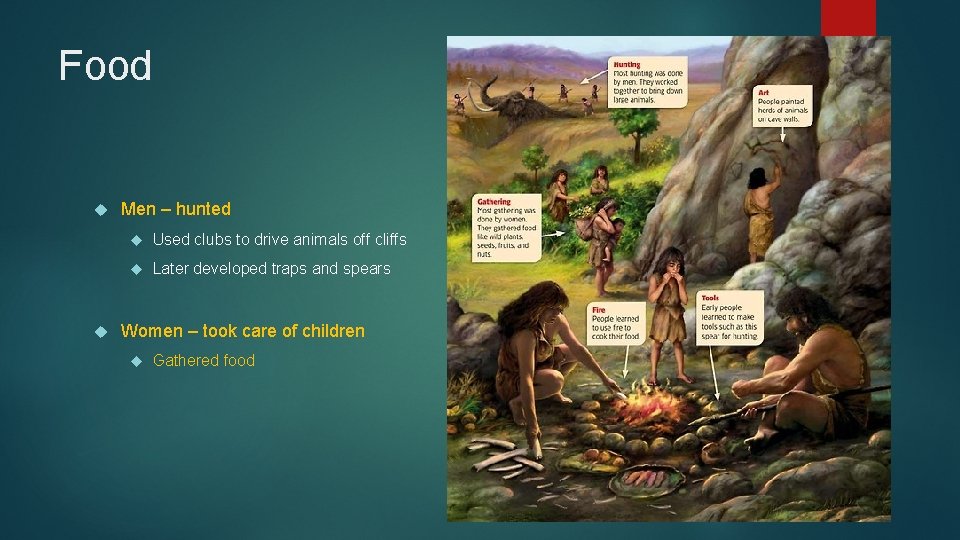Food Men – hunted Used clubs to drive animals off cliffs Later developed traps
