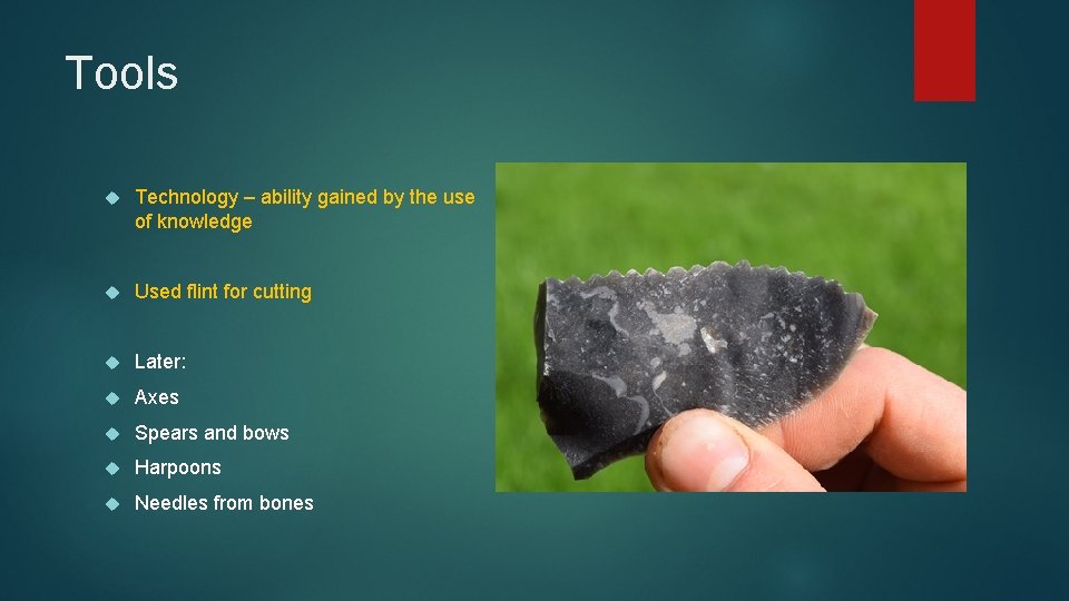 Tools Technology – ability gained by the use of knowledge Used flint for cutting