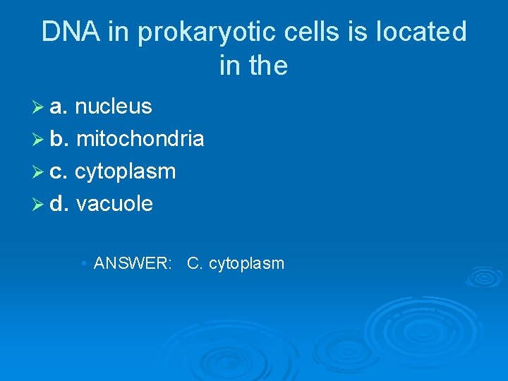 DNA in prokaryotic cells is located in the Ø a. nucleus Ø b. mitochondria