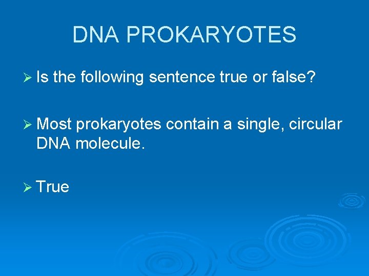 DNA PROKARYOTES Ø Is the following sentence true or false? Ø Most prokaryotes contain