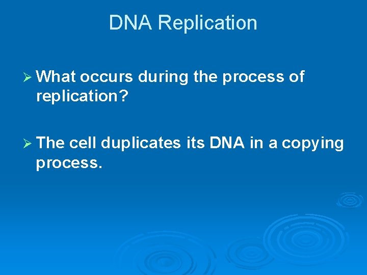 DNA Replication Ø What occurs during the process of replication? Ø The cell duplicates