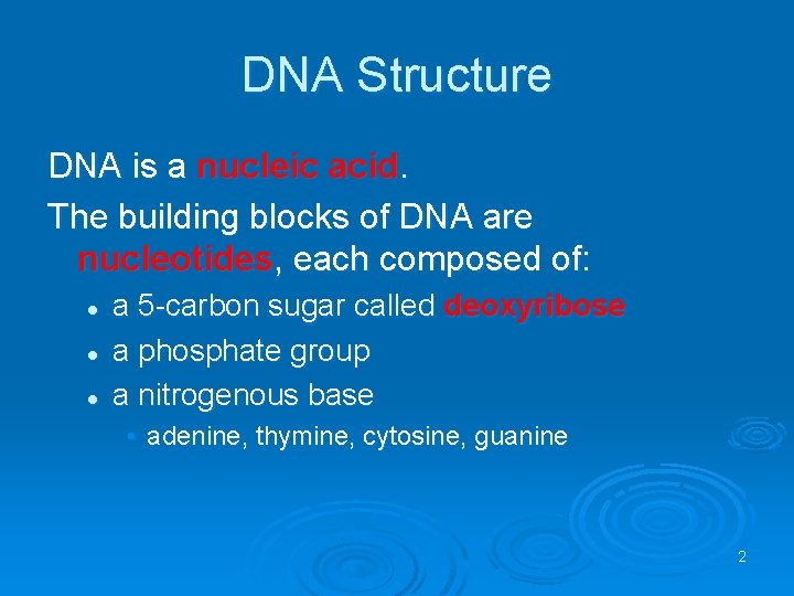 DNA Structure DNA is a nucleic acid. The building blocks of DNA are nucleotides,