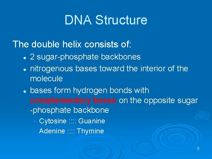DNA Structure The double helix consists of: l l l 2 sugar-phosphate backbones nitrogenous