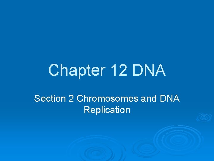 Chapter 12 DNA Section 2 Chromosomes and DNA Replication 