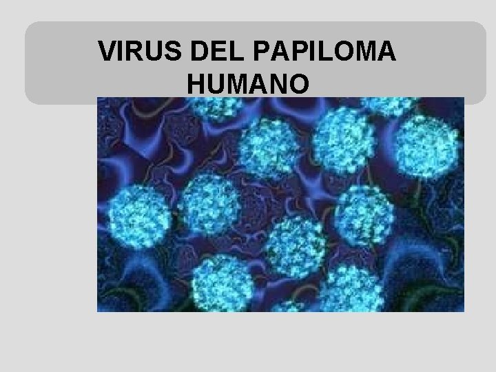 VIRUS DEL PAPILOMA HUMANO 