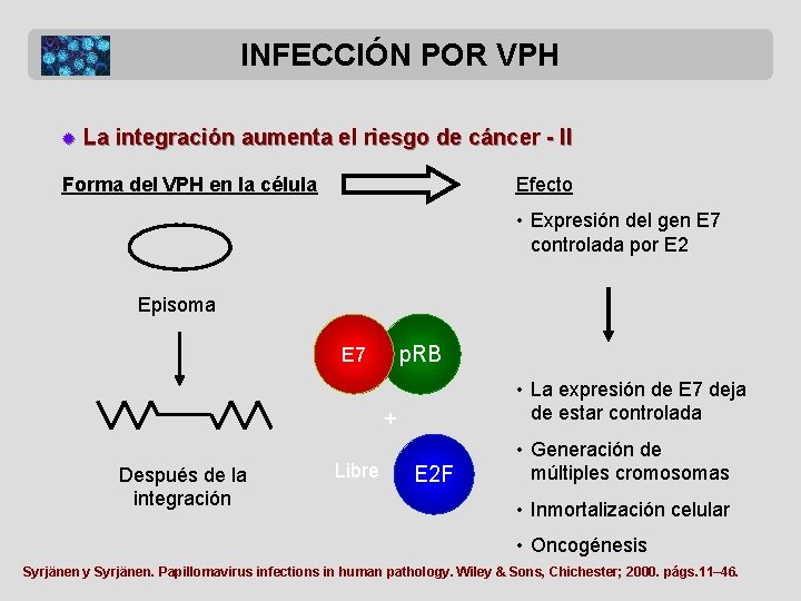 INFECCIÓN POR VPH ® La integración aumenta el riesgo de cáncer - II Forma