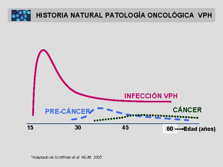 HISTORIA NATURAL PATOLOGÍA ONCOLÓGICA VPH INFECCIÓN VPH CÁNCER PRE-CÁNCER 15 30 *Adaptado de Schiffman