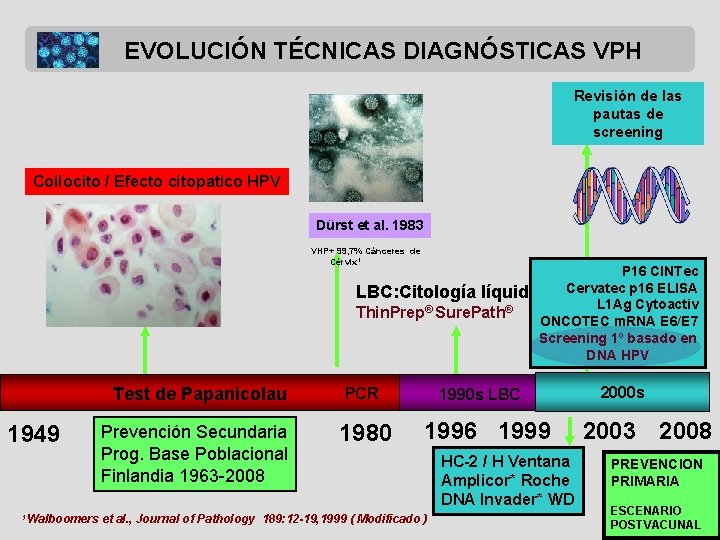 EVOLUCIÓN TÉCNICAS DIAGNÓSTICAS VPH Revisión de las pautas de screening Coilocito / Efecto citopatico