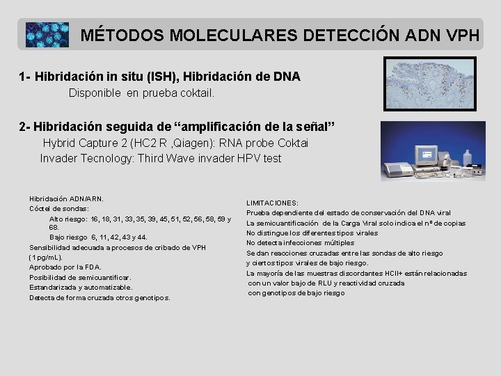 MÉTODOS MOLECULARES DETECCIÓN ADN VPH 1 - Hibridación in situ (ISH), Hibridación de DNA