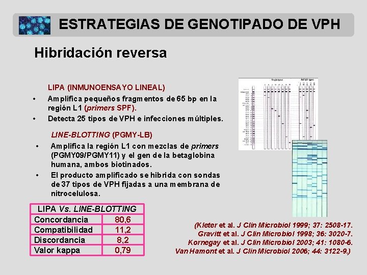 ESTRATEGIAS DE GENOTIPADO DE VPH Hibridación reversa LIPA (INMUNOENSAYO LINEAL) Amplifica pequeños fragmentos de