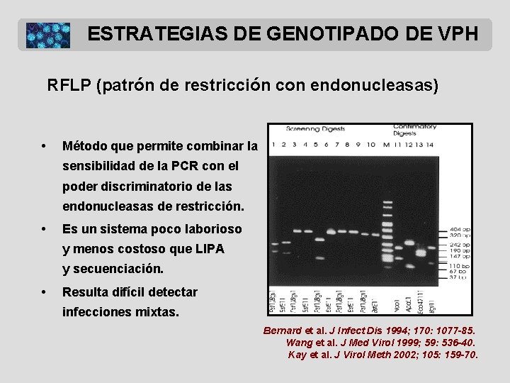 ESTRATEGIAS DE GENOTIPADO DE VPH RFLP (patrón de restricción con endonucleasas) • Método que