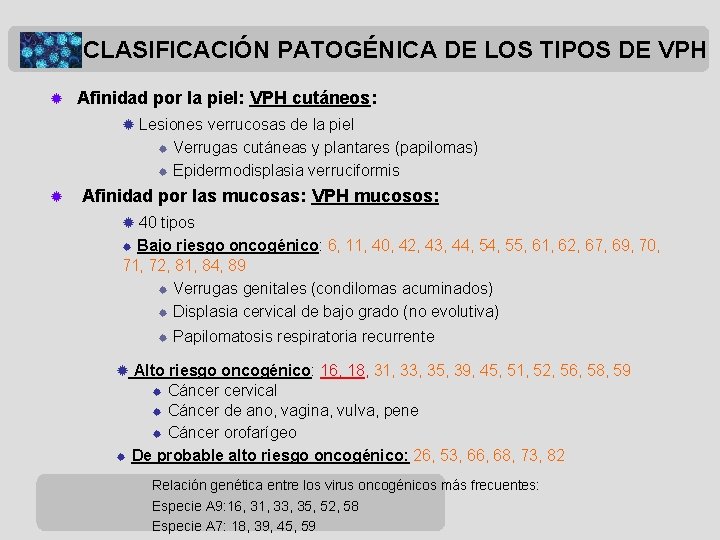 CLASIFICACIÓN PATOGÉNICA DE LOS TIPOS DE VPH ® Afinidad por la piel: VPH cutáneos: