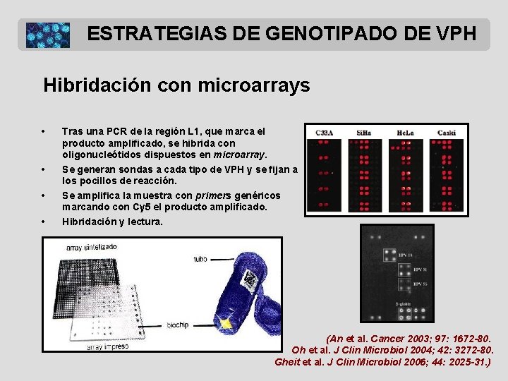 ESTRATEGIAS DE GENOTIPADO DE VPH Hibridación con microarrays • • Tras una PCR de