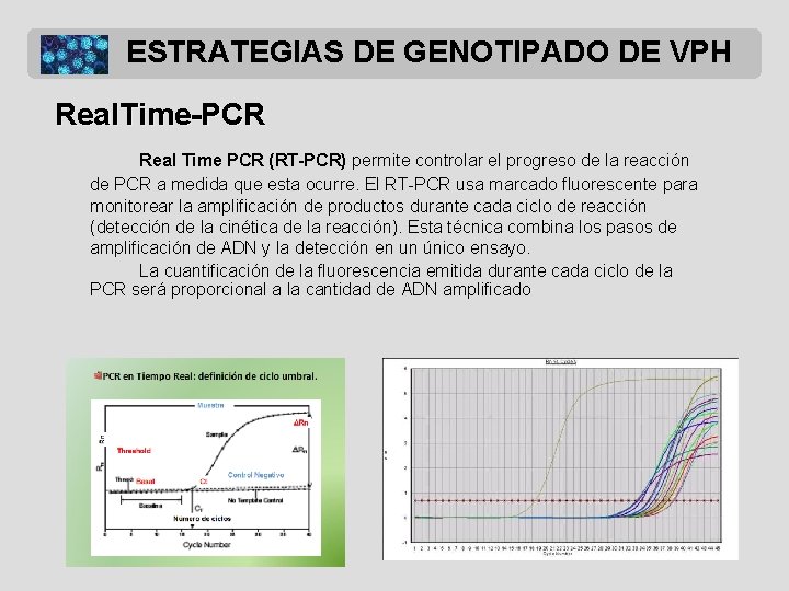 ESTRATEGIAS DE GENOTIPADO DE VPH Real. Time-PCR Real Time PCR (RT-PCR) permite controlar el