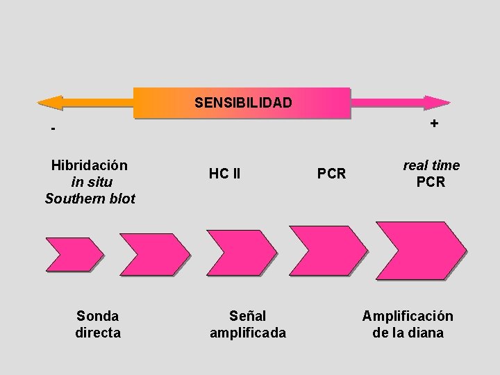 SENSIBILIDAD + Hibridación in situ Southern blot Sonda directa HC II Señal amplificada PCR