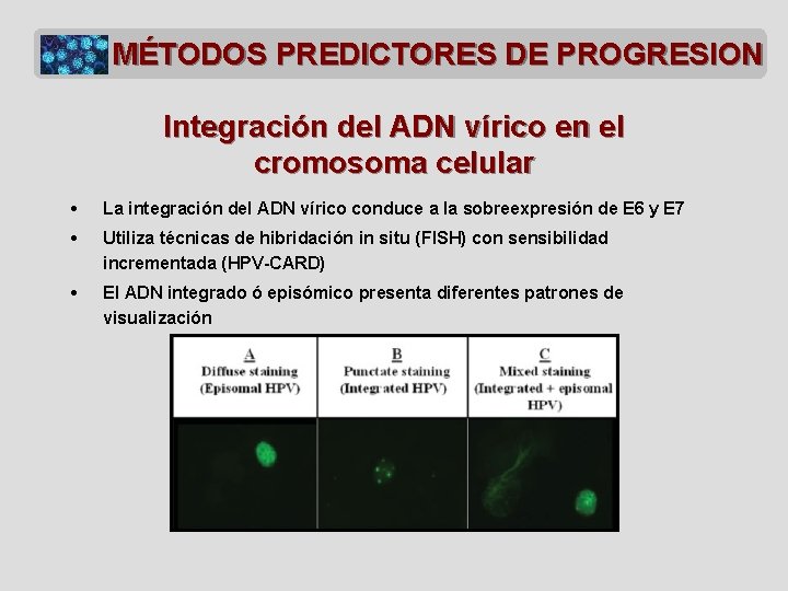 MÉTODOS PREDICTORES DE PROGRESION Integración del ADN vírico en el cromosoma celular • La