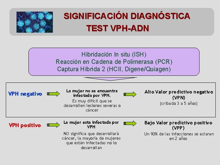 SIGNIFICACIÓN DIAGNÓSTICA TEST VPH-ADN Hibridación In situ (ISH) Reacción en Cadena de Polimerasa (PCR)