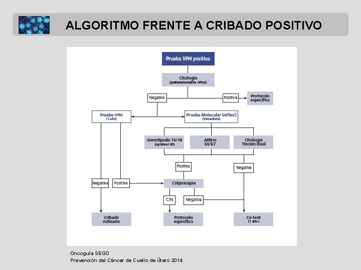 ALGORITMO FRENTE A CRIBADO POSITIVO Oncoguía SEGO Prevención del Cáncer de Cuello de Útero