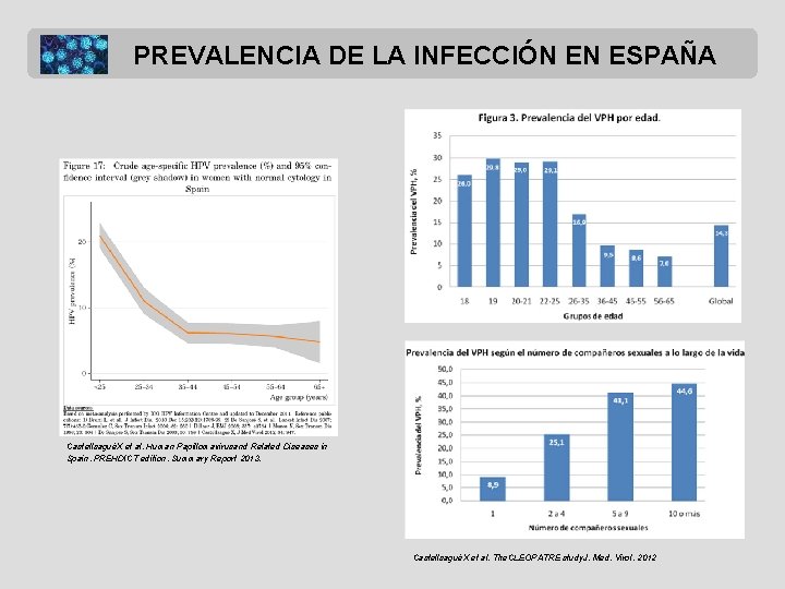 PREVALENCIA DE LA INFECCIÓN EN ESPAÑA CastellsaguéX et al. Human Papillomavirusand Related Diseases in