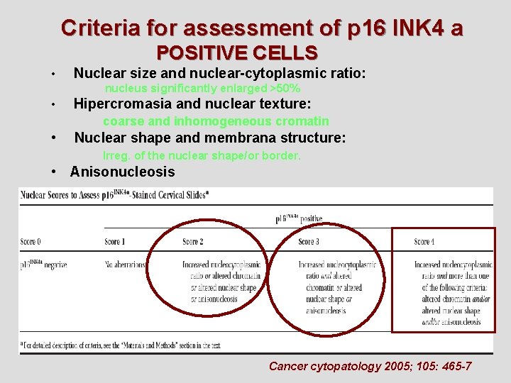 Criteria for assessment of p 16 INK 4 a POSITIVE CELLS • Nuclear size