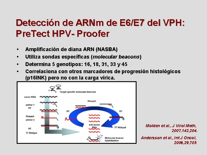 Detección de ARNm de E 6/E 7 del VPH: Pre. Tect HPV- Proofer •