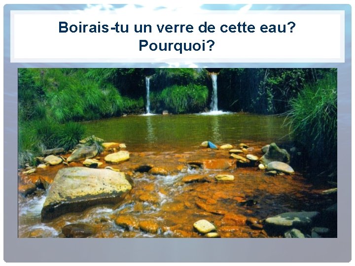 Boirais-tu un verre de cette eau? Pourquoi? 