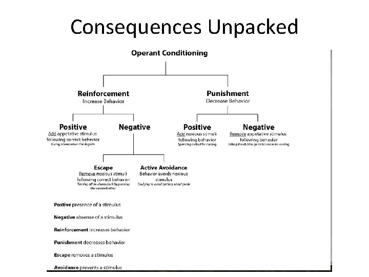 Consequences Unpacked © 2013 All Rights Reserved 