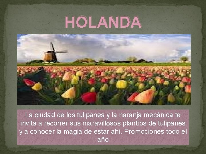 HOLANDA La ciudad de los tulipanes y la naranja mecánica te invita a recorrer