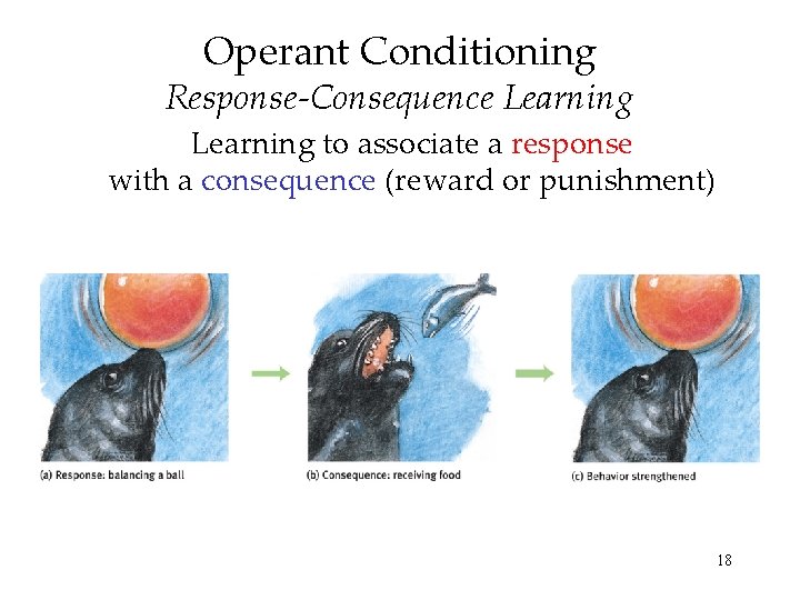 Operant Conditioning Response-Consequence Learning to associate a response with a consequence (reward or punishment)