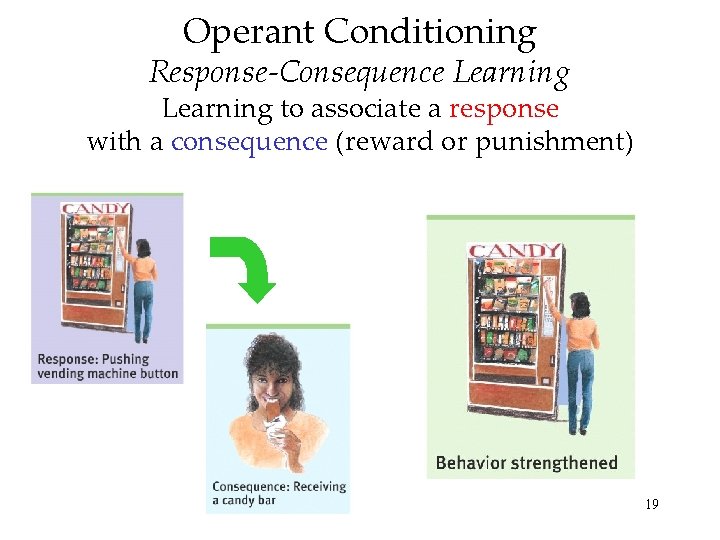 Operant Conditioning Response-Consequence Learning to associate a response with a consequence (reward or punishment)