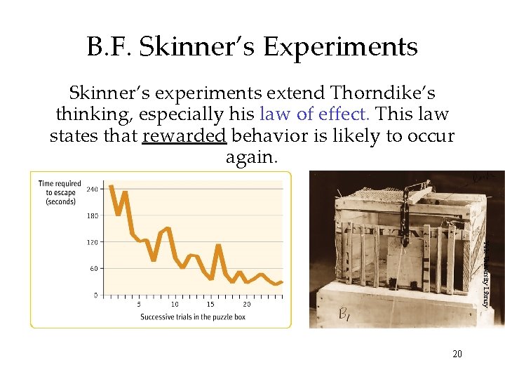 B. F. Skinner’s Experiments Skinner’s experiments extend Thorndike’s thinking, especially his law of effect.