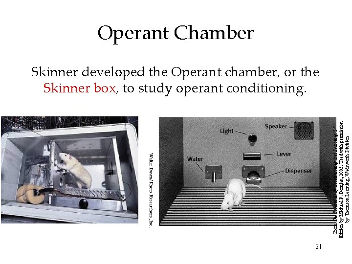 Walter Dawn/ Photo Researchers, Inc. From The Essentials of Conditioning and Learning, 3 rd