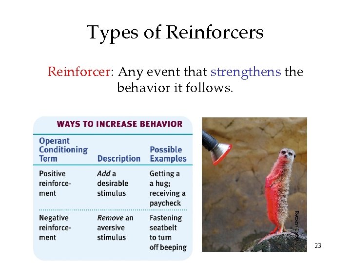 Types of Reinforcers Reinforcer: Any event that strengthens the behavior it follows. Reuters/ Corbis