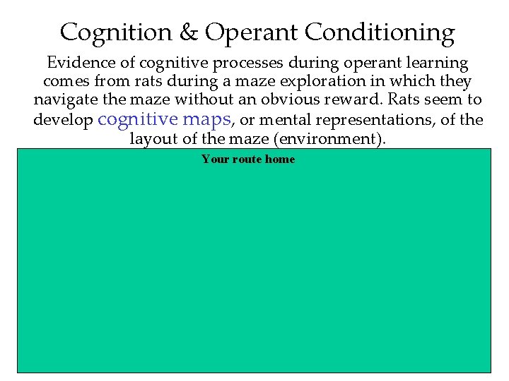 Cognition & Operant Conditioning Evidence of cognitive processes during operant learning comes from rats