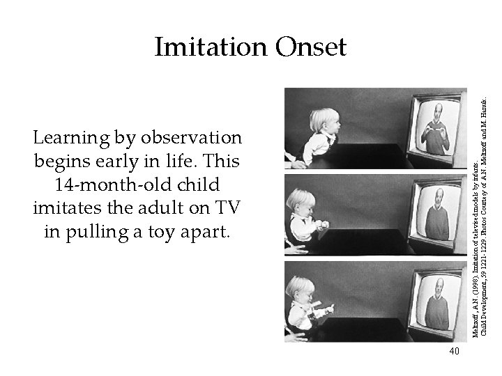 Learning by observation begins early in life. This 14 -month-old child imitates the adult