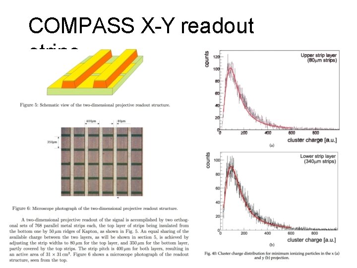 COMPASS X-Y readout strips 9 
