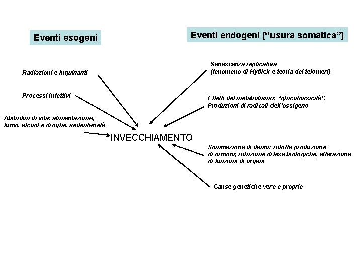 Eventi esogeni Eventi endogeni (“usura somatica”) Senescenza replicativa (fenomeno di Hyflick e teoria dei