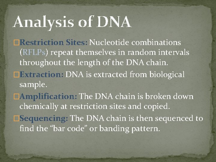 Analysis of DNA �Restriction Sites: Nucleotide combinations (RFLPs) repeat themselves in random intervals throughout