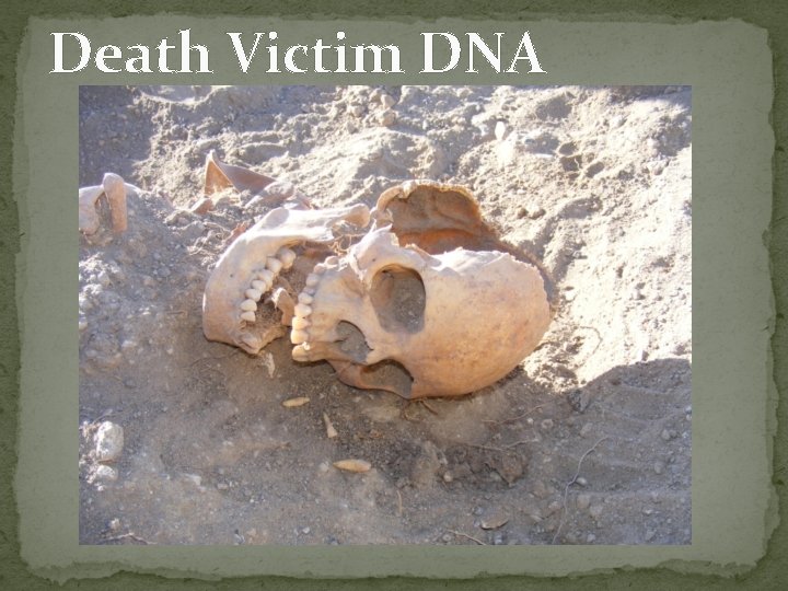 Death Victim DNA 