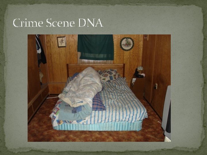 Crime Scene DNA 