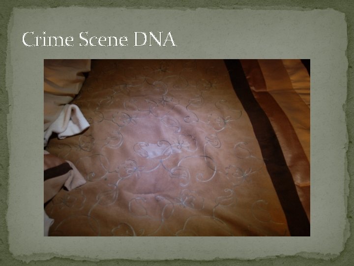 Crime Scene DNA 