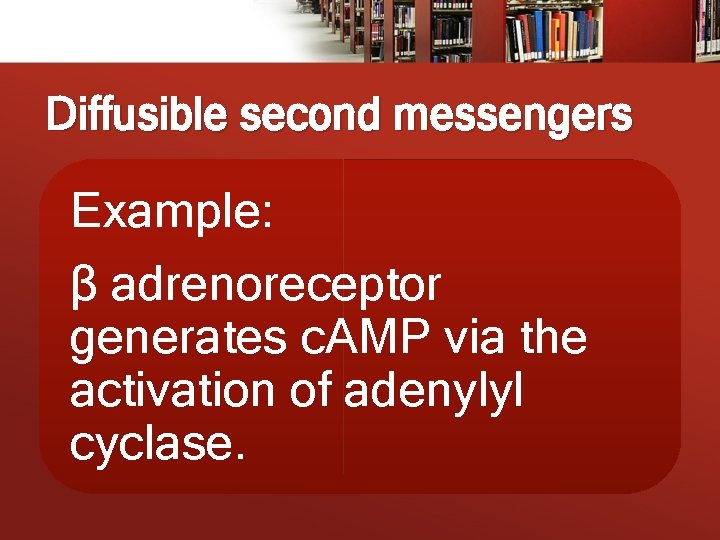 Diffusible second messengers Example: β adrenoreceptor generates c. AMP via the activation of adenylyl