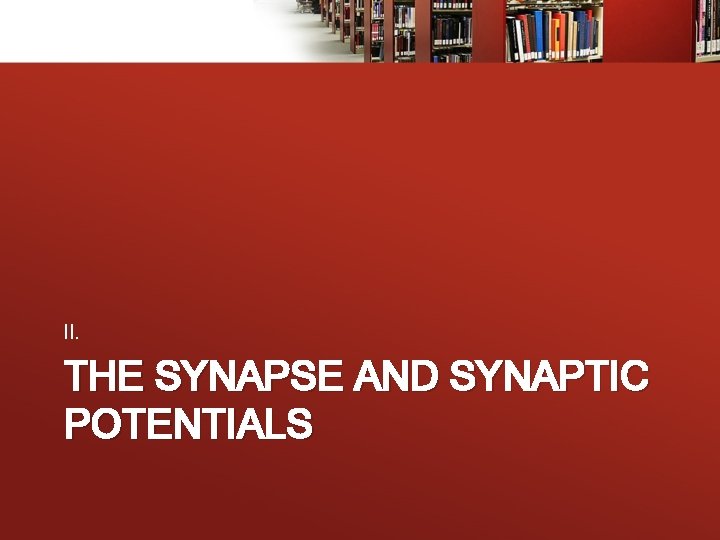 II. THE SYNAPSE AND SYNAPTIC POTENTIALS 