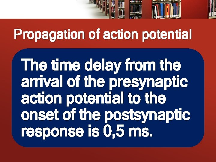 Propagation of action potential The time delay from the arrival of the presynaptic action