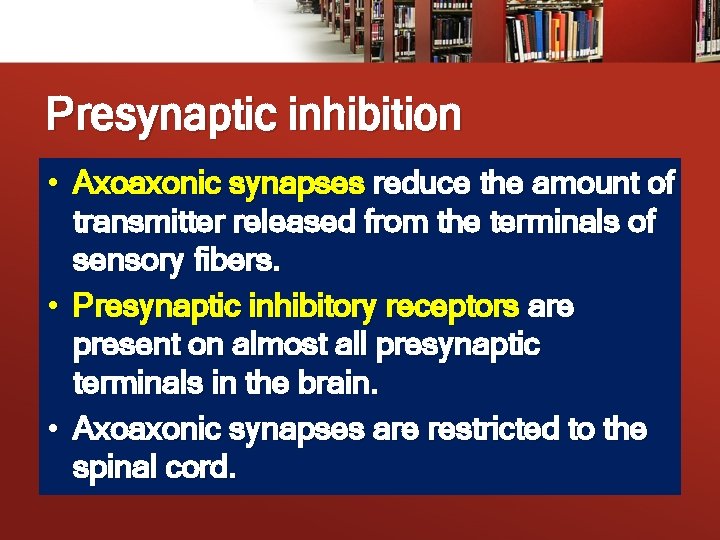 Presynaptic inhibition • Axoaxonic synapses reduce the amount of transmitter released from the terminals