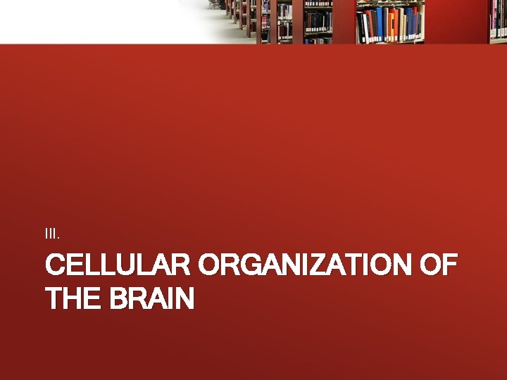 III. CELLULAR ORGANIZATION OF THE BRAIN 