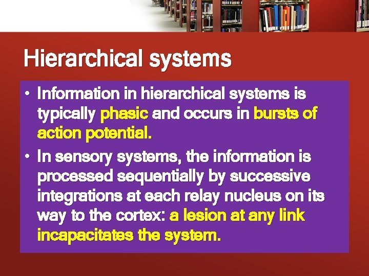 Hierarchical systems • Information in hierarchical systems is typically phasic and occurs in bursts