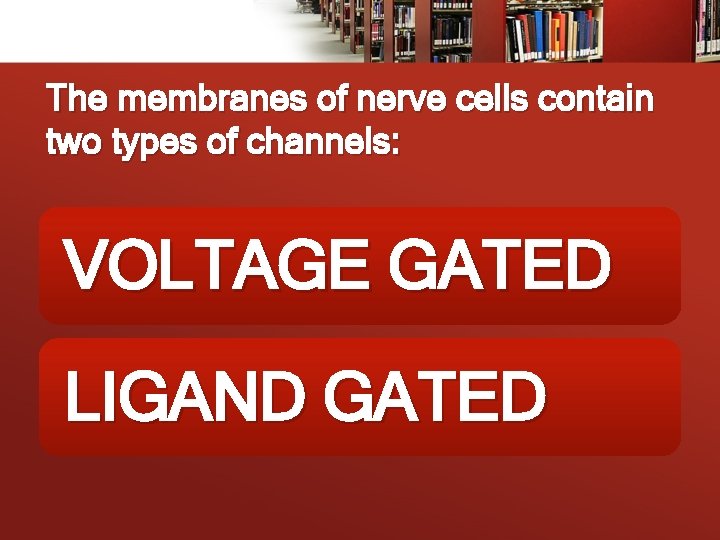 The membranes of nerve cells contain two types of channels: VOLTAGE GATED LIGAND GATED