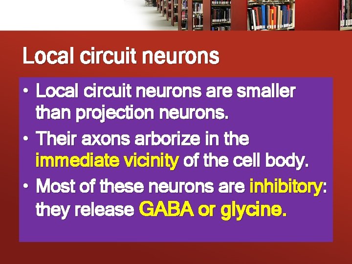 Local circuit neurons • Local circuit neurons are smaller than projection neurons. • Their